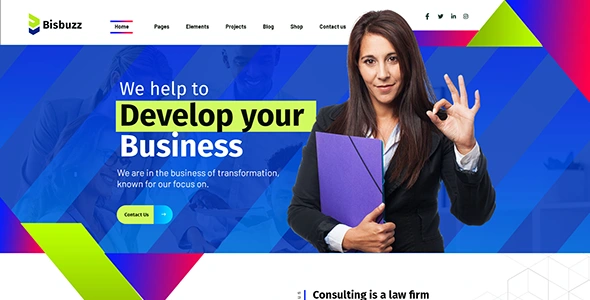 Bisbuzz - Business Consulting WordPress Theme