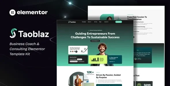 Taoblaz - Business Coach & Consulting Elementor Template Kit
